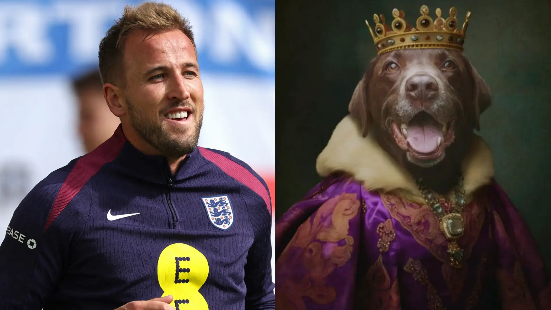 Harry Kane set to be joined by his dog at Euro 2024 as England team mock up hilarious royal portraits of squad's beloved pets